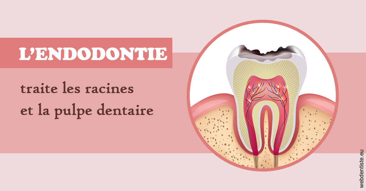 https://selarl-sandrine-dussert.chirurgiens-dentistes.fr/L'endodontie 2